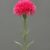 MA6669-2 Fuchsia