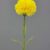 MA6669-2 Yellow