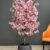 AT-9102 Pink 2