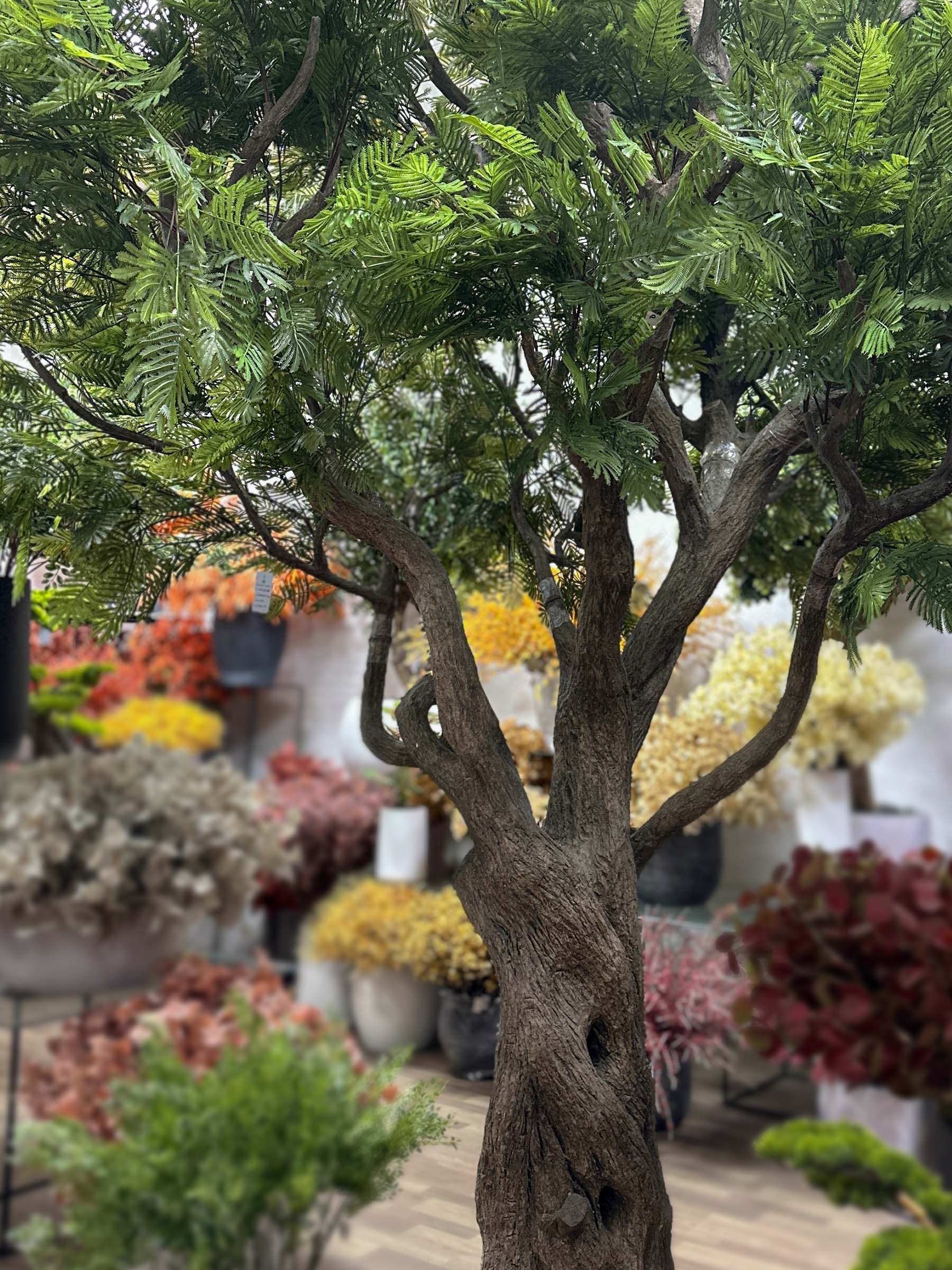 9359(2) Create a natural atmosphere indoors with the lifelike Artificial Ghaf Tree. Its realistic leaves and tall stature make it a captivating focal point! 🌳