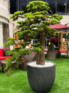 Elevate your space with this stunning Artificial Bonsai Tree! Its realistic design and stylish pot will bring everlasting beauty to any setting.