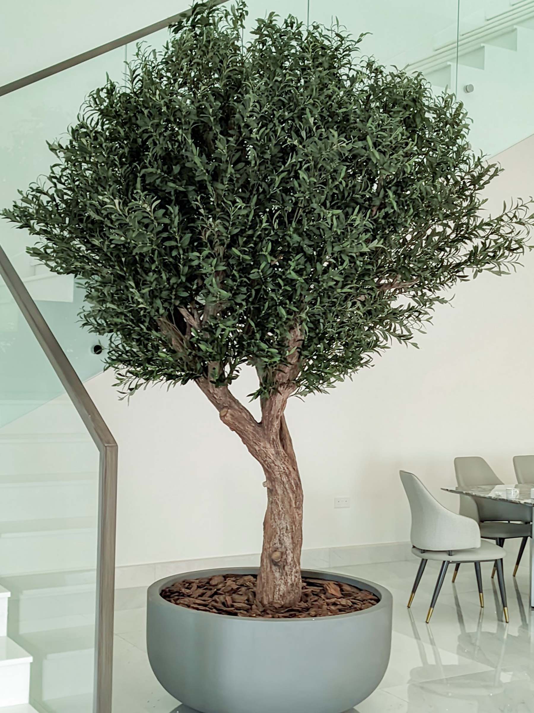 9655(2) Create a serene atmosphere with our Artificial Olive Tree. Its impressive height and width bring Mediterranean charm without maintenance demands. 🏡
