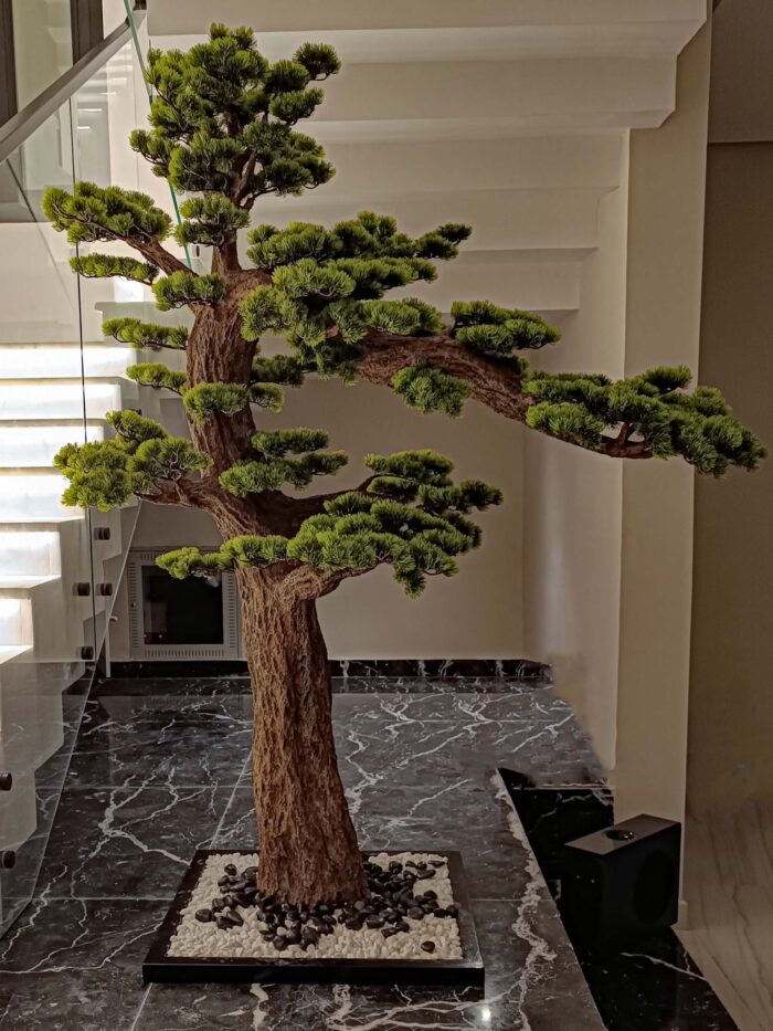 Bonsai Tree 9660