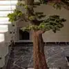 9660(2) Elevate your space with this stunning Artificial Bonsai Tree! Its realistic design and stylish pot will bring everlasting beauty to any setting.