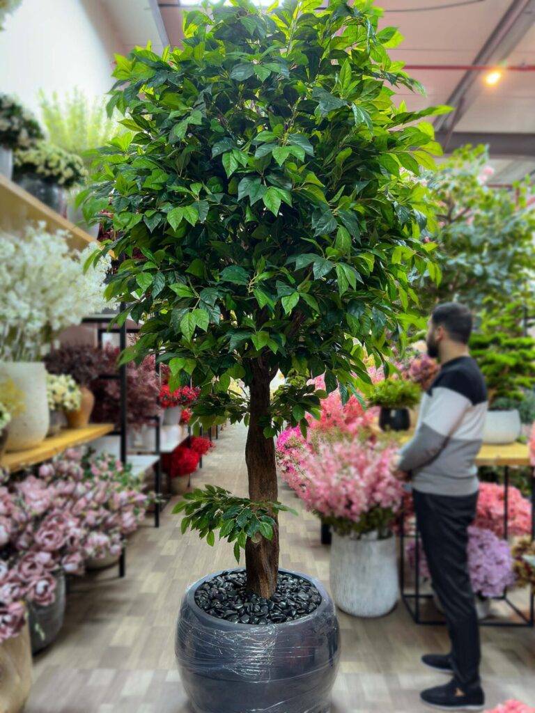 Add a touch of elegance with the Green Tree artificial Ficus! Experience the beauty of nature indoors, without any maintenance. Buy yours now!