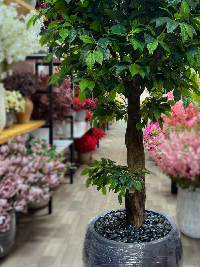 Green Tree 9674