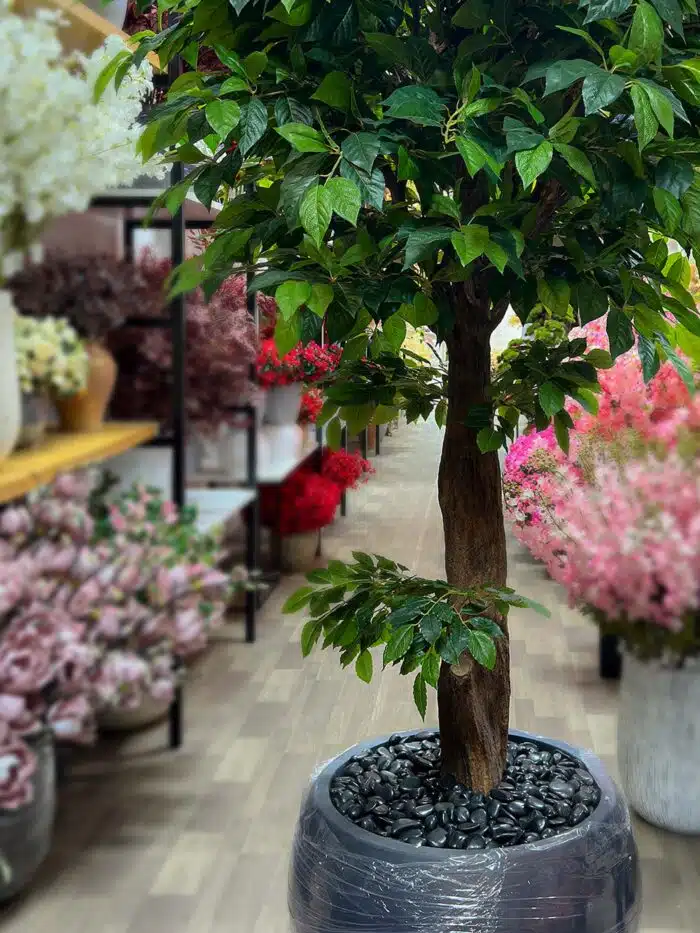 Green Tree 9674