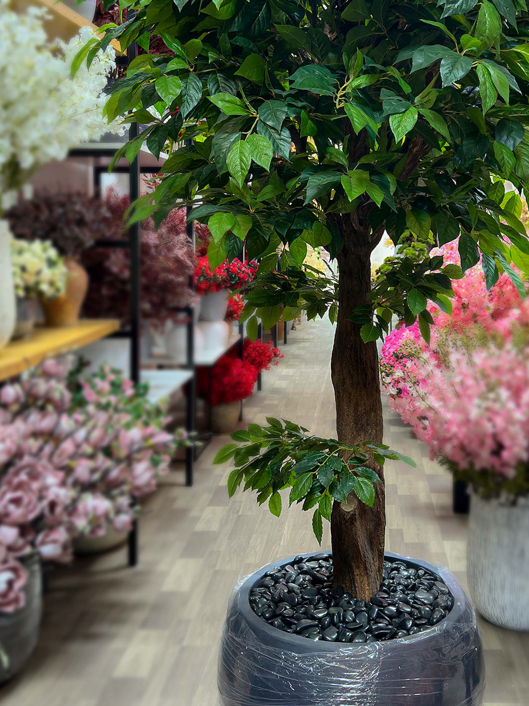 9674(2) Add a touch of elegance with the Green Tree artificial Ficus! Experience the beauty of nature indoors, without any maintenance. Buy yours now!