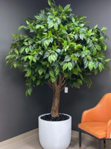 Add a touch of elegance with the Green Tree artificial Ficus! Experience the beauty of nature indoors, without any maintenance. Buy yours now!