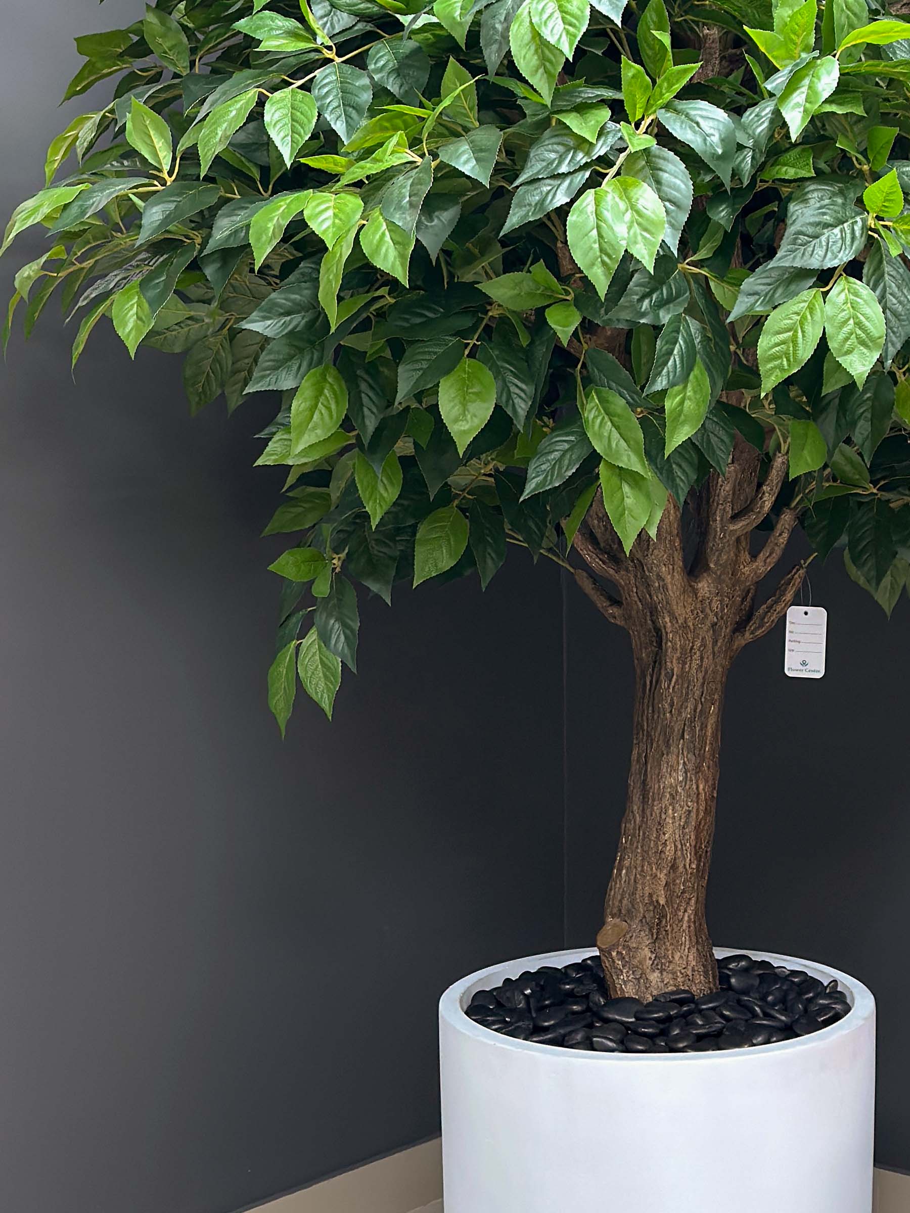 Add a touch of elegance with the Green Tree artificial Ficus! Experience the beauty of nature indoors, without any maintenance. Buy yours now!