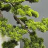 Medium faux pine bonsai tree AT-9731 in tall white modern vase