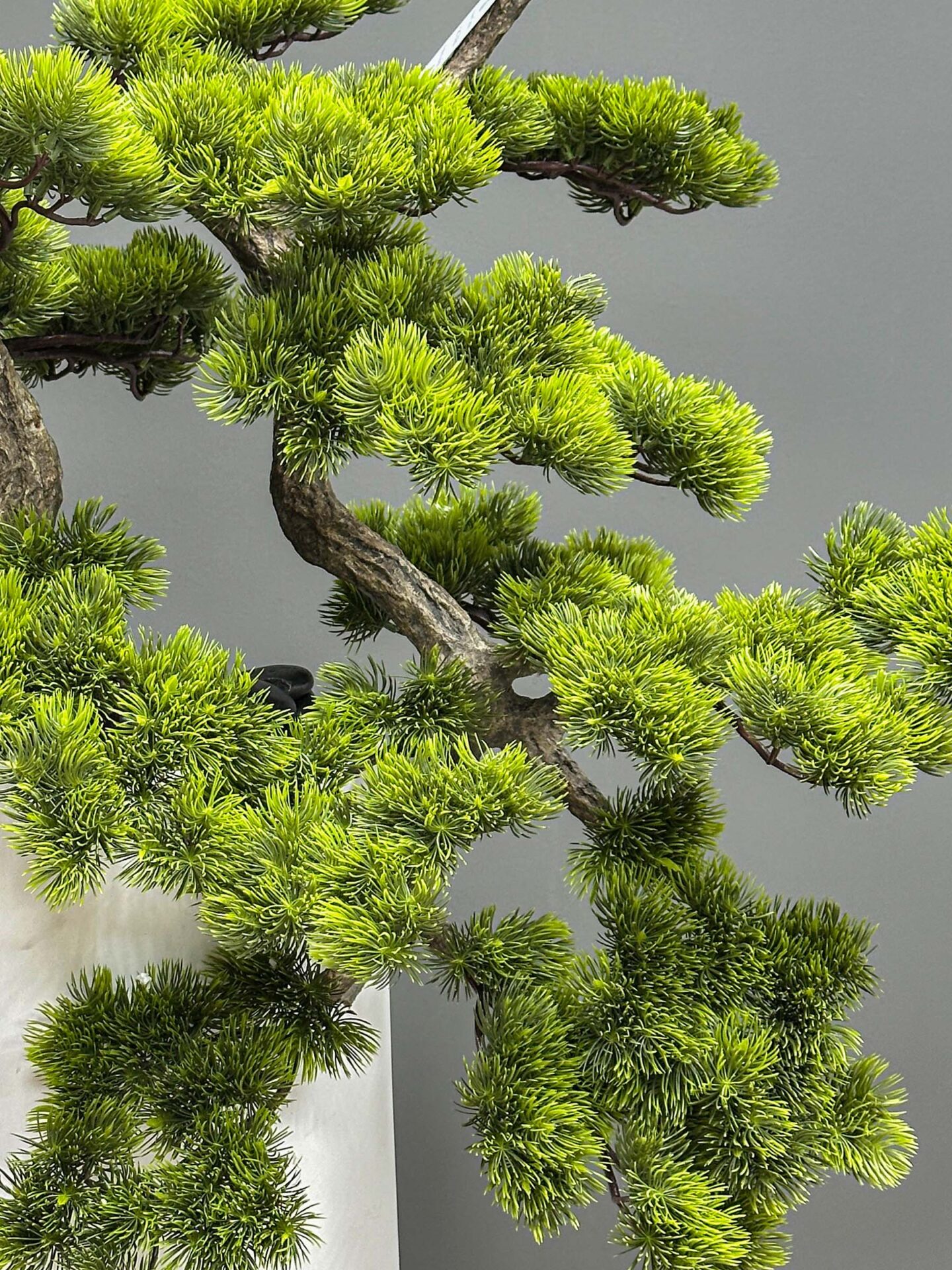 9731(2) Medium faux pine bonsai tree AT-9731 in tall white modern vase