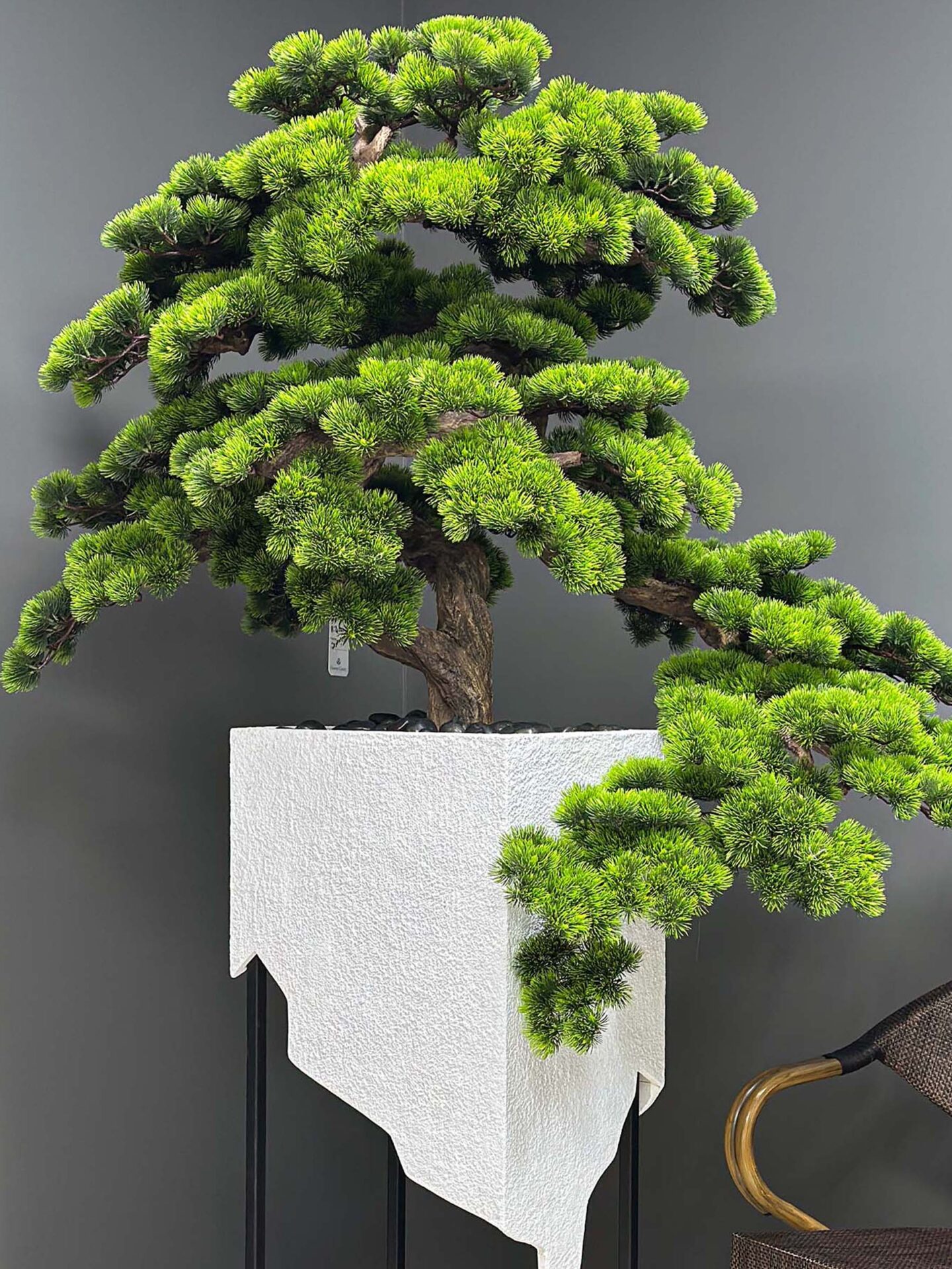 9603(1)jpg Elevate your space with this stunning Artificial Bonsai Tree! Its realistic design and stylish pot will bring everlasting beauty to any setting.