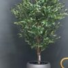 Elevate your interior with our gorgeous Artificial Olive Tree. Enjoy the charm of nature in your home or workspace all year round!