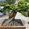 Elevate your space with this stunning Artificial Bonsai Tree! Its realistic design and stylish pot will bring everlasting beauty to any setting.