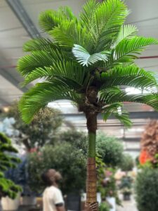 Transform your space with our stunning Artificial PALM TREE. Add natural artistry and tranquility effortlessly—shop now for yours!
