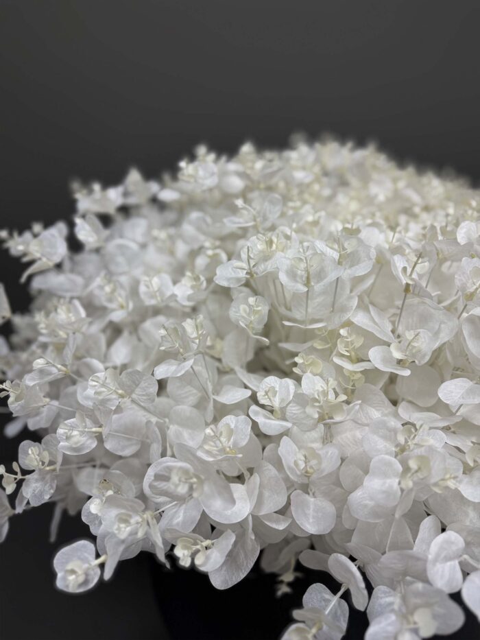 Modern White Eucalyptus Arrangement in Matte Black Vase – Contemporary Elegance