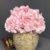 ARRANGEMENT HYDRANGEA 13