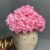 ARRANGEMENT HYDRANGEA 18