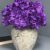 ARRANGEMENT HYDRANGEA 21