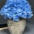 ARRANGEMENT HYDRANGEA 24
