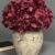ARRANGEMENT HYDRANGEA 27