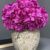 ARRANGEMENT HYDRANGEA 28