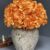 ARRANGEMENT HYDRANGEA 31