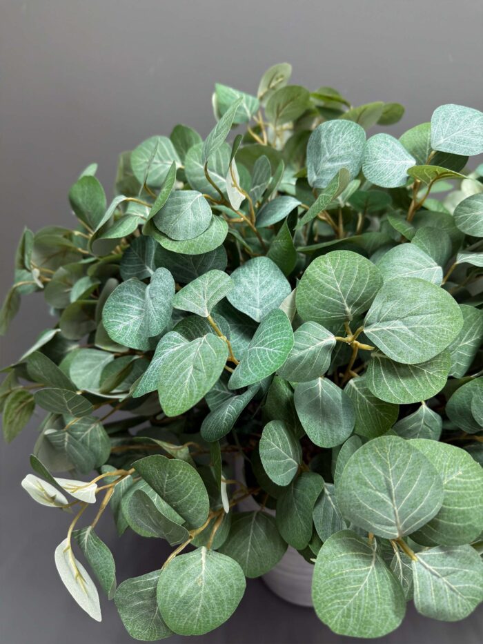 Soft Green Eucalyptus IN Grey Pot – Natural & Serene