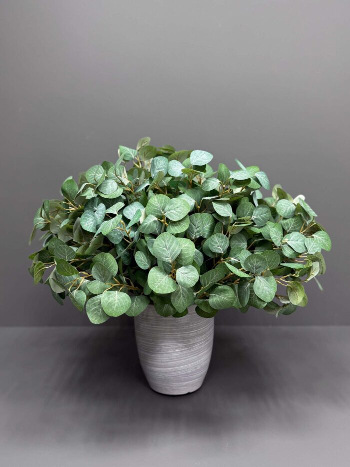 Soft Green Eucalyptus IN Grey Pot – Natural & Serene