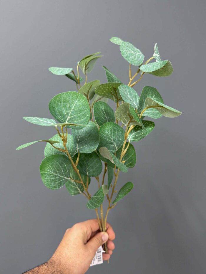 Soft Green Eucalyptus IN Grey Pot – Natural & Serene