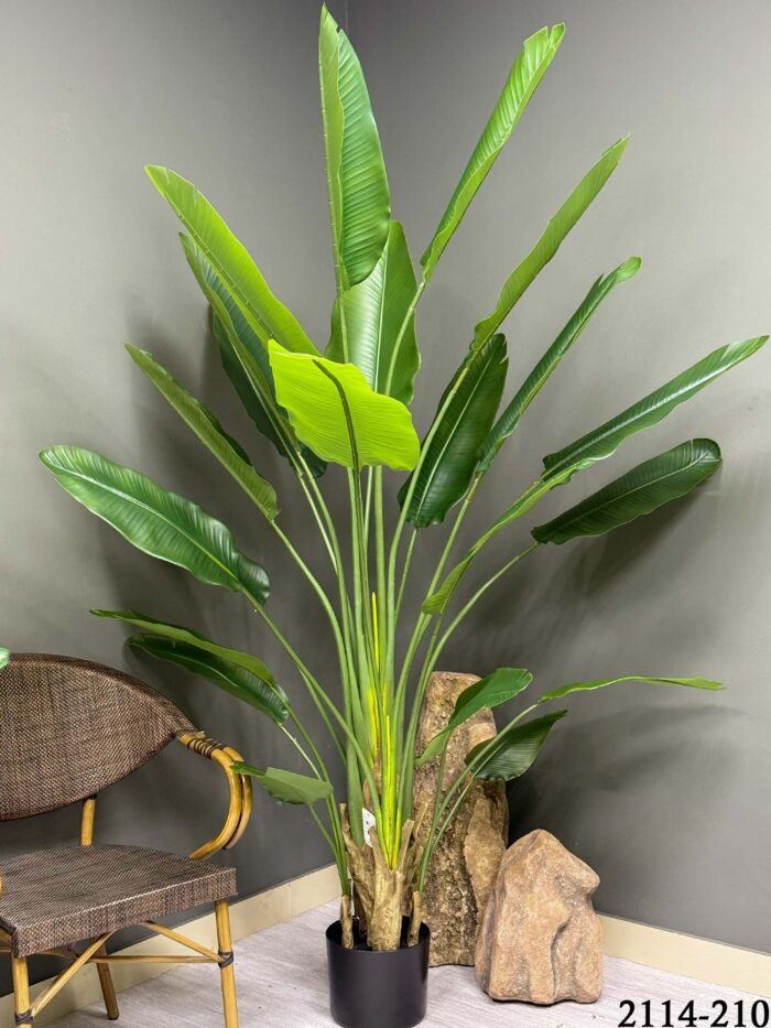 Large Faux Paradise Tree (210cm)- Artificial Paradise Decor 2114-210