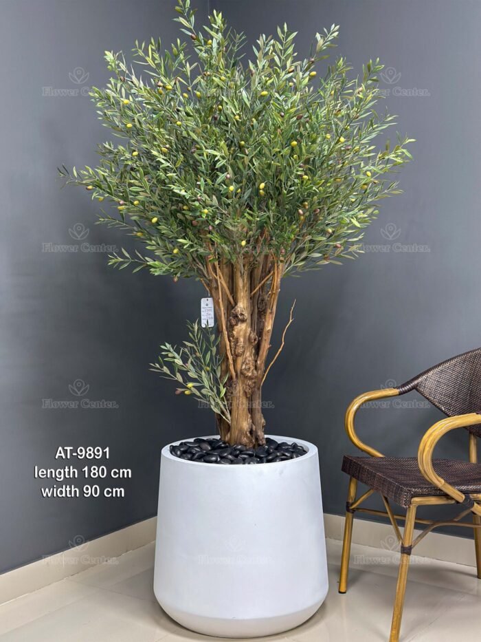 Artificial Olive Tree 180cm – Natural Trunk with White Pot – 9891