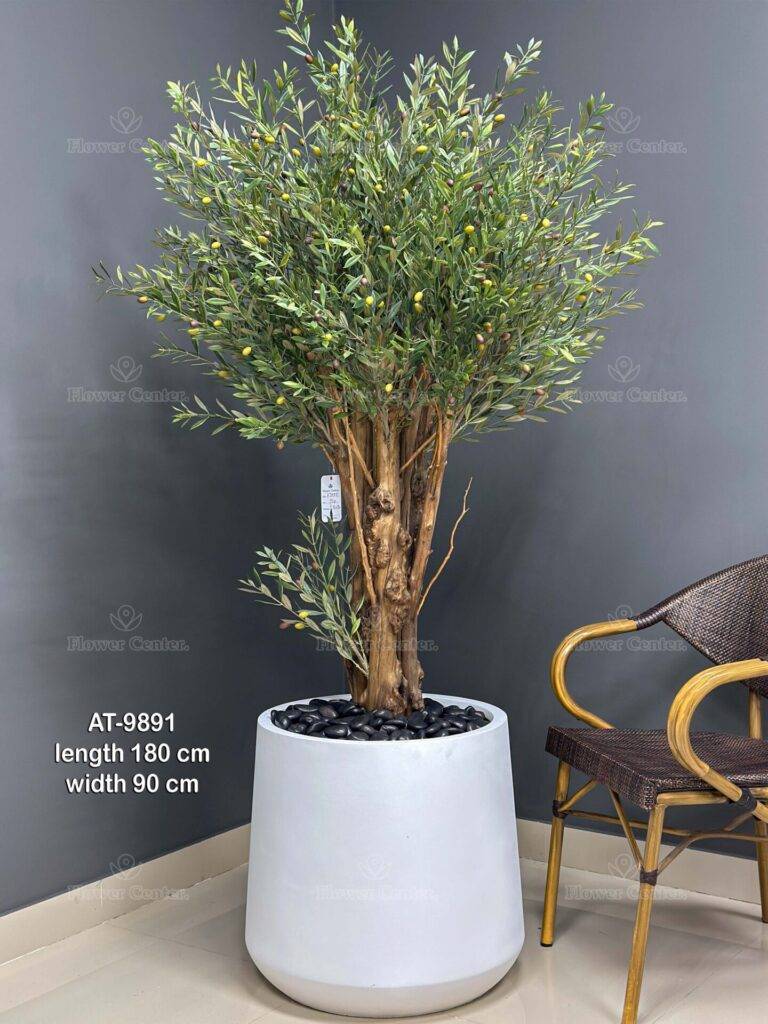 Artificial Olive Tree 180cm - Natural Trunk with White Pot - 9891