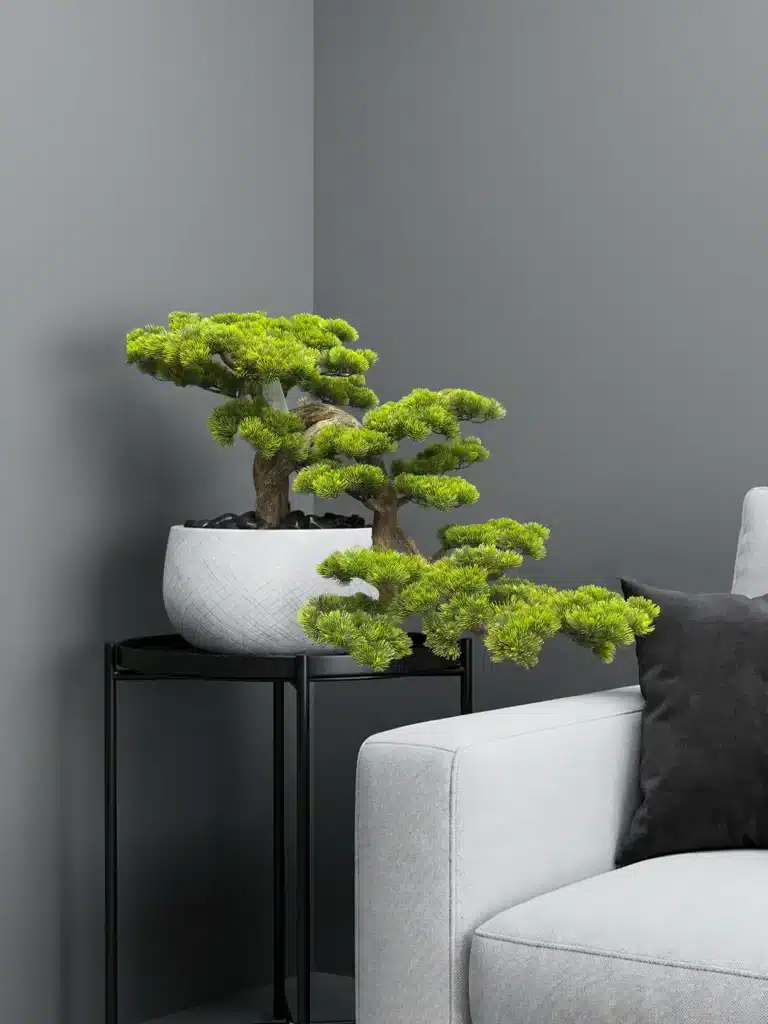 Large Bonsai Tree Decor in Modern White Pot (L85cm, W100cm) - AT-9789