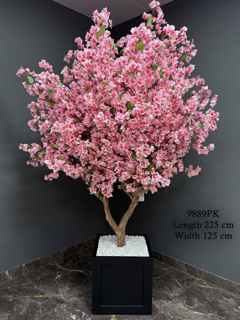 Bougainvillea Tree