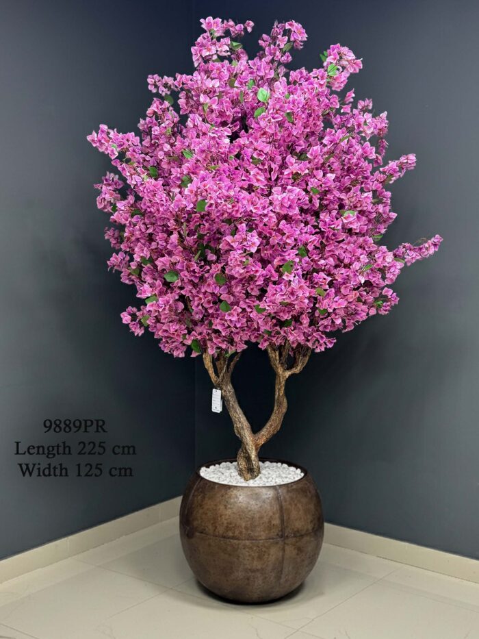 Bougainvillea tree 9889