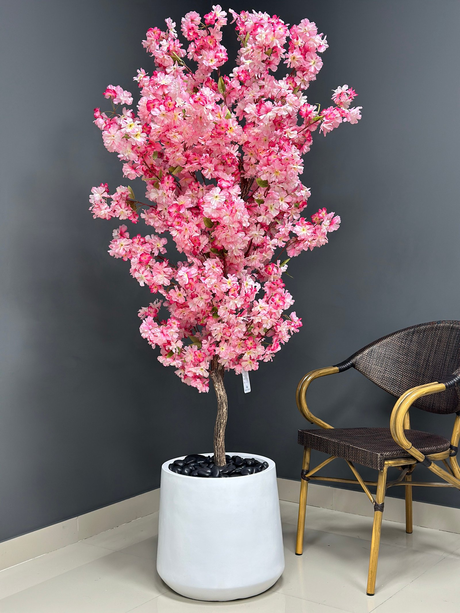 9103PK cherry blossom tree