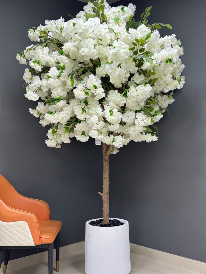 Artificial White Cherry Blossom Tree with Natural Wood Trunk – 220cm