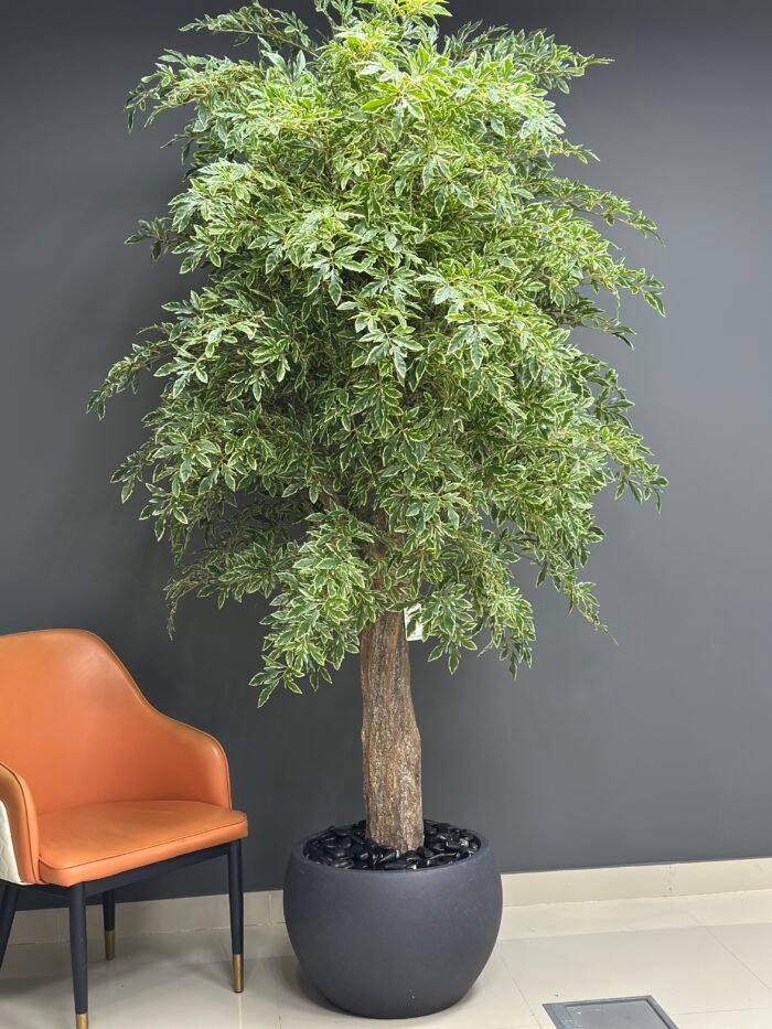 Artificial Variegated Green Leaves Tree – 235 cm -9662