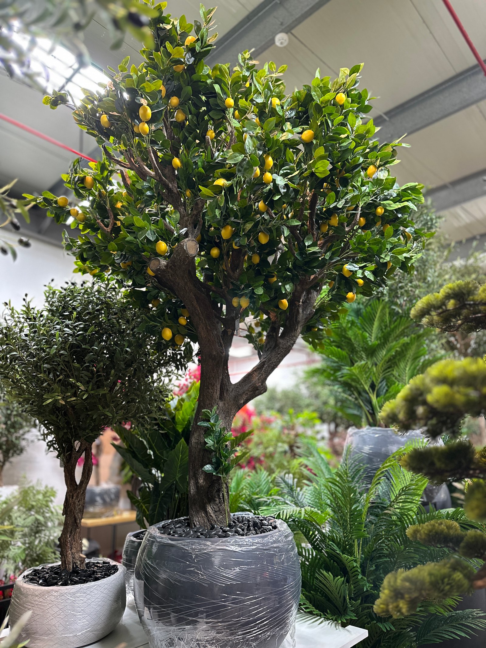 Large Decorative Artificial Lemon Tree large artificial lemon tree with lemons 280 cm decorative indoor citrus tree