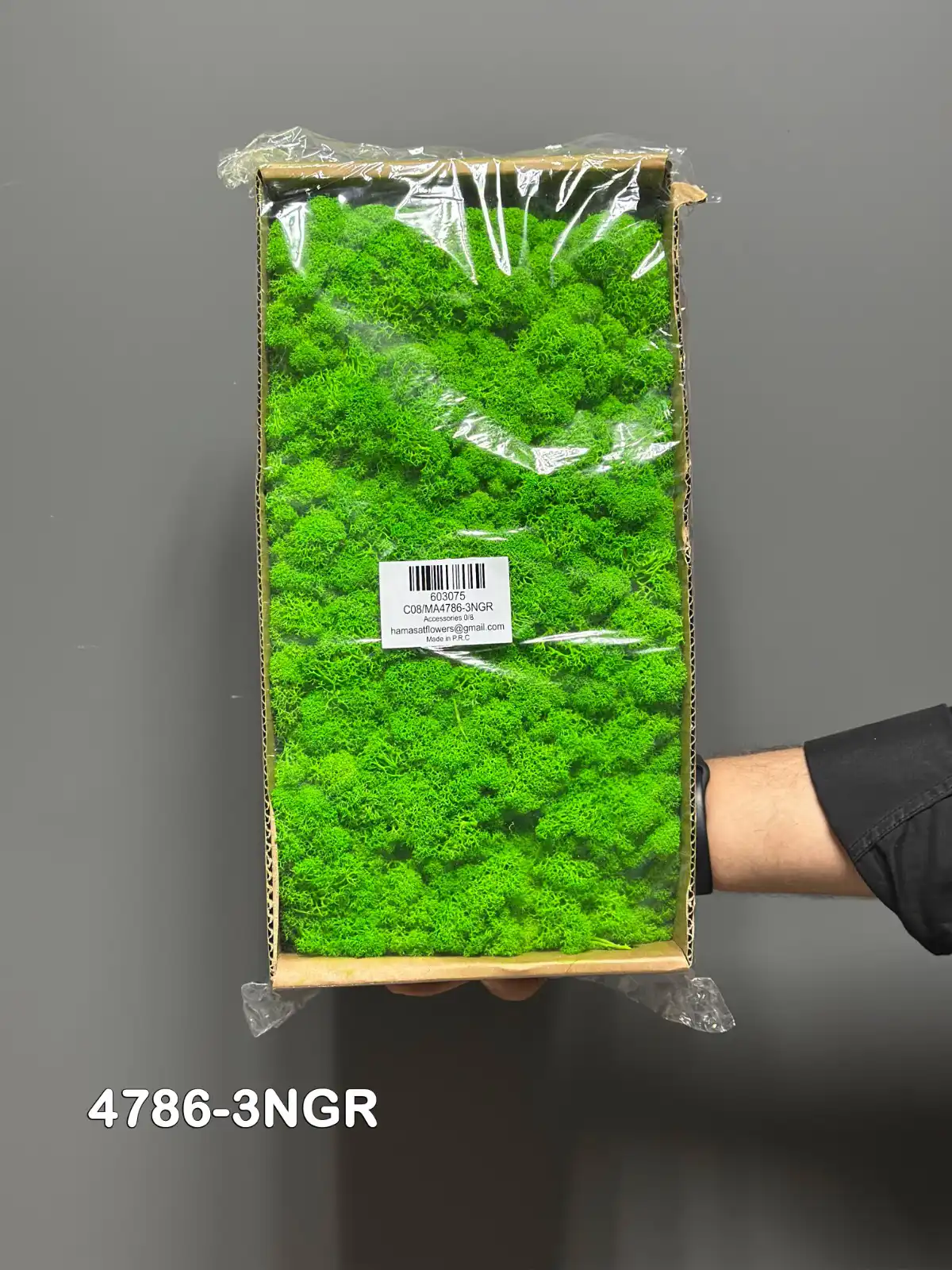 4786-3NGR-C Vertical moss wall panel with wooden frame natural decor