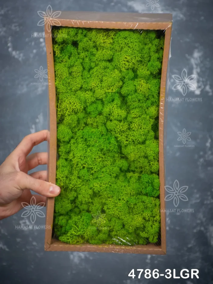 Artificial Moss Wall Panel (4786-3LGR) for Vertical Garden & Wall Decor