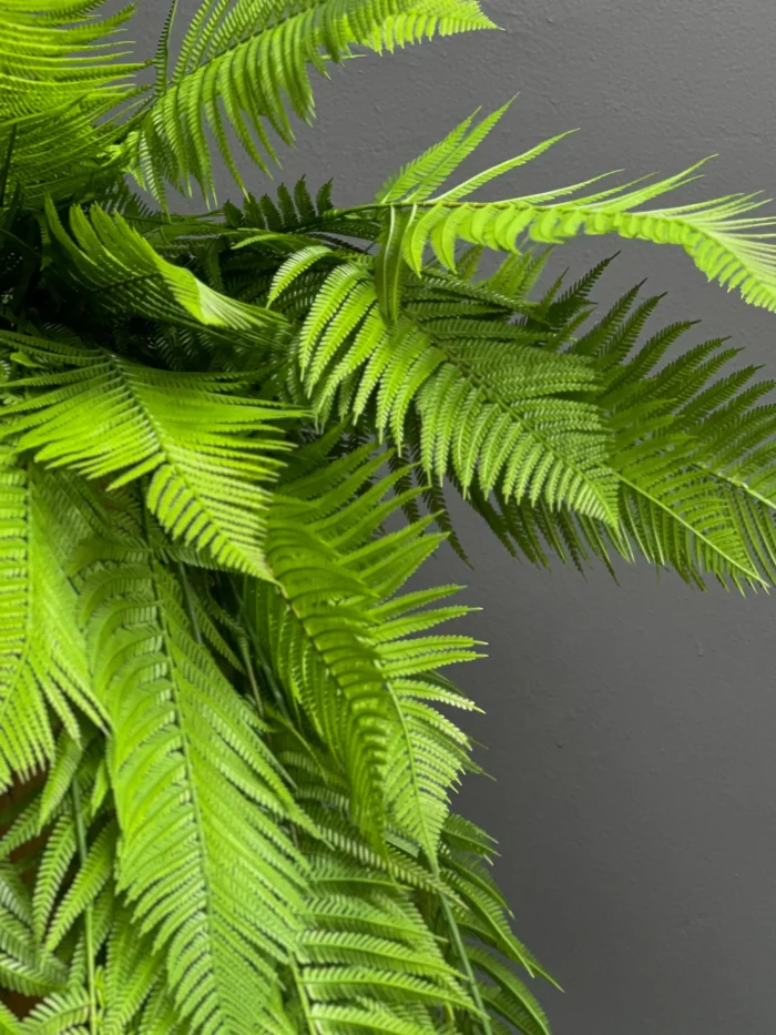 Hanging accessories – 6767