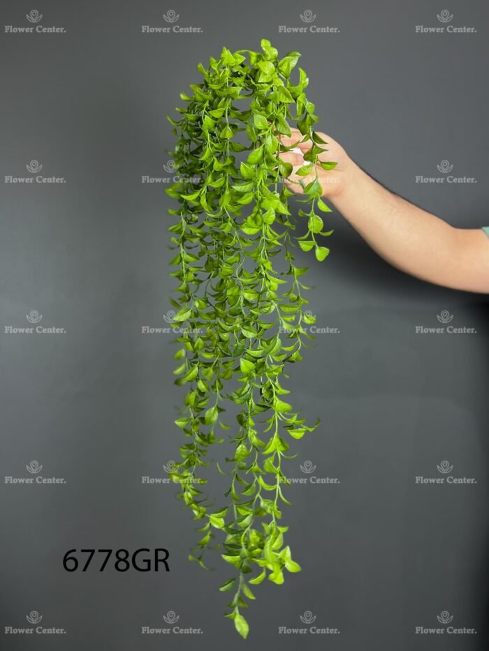 Hanging greenery - 6778
