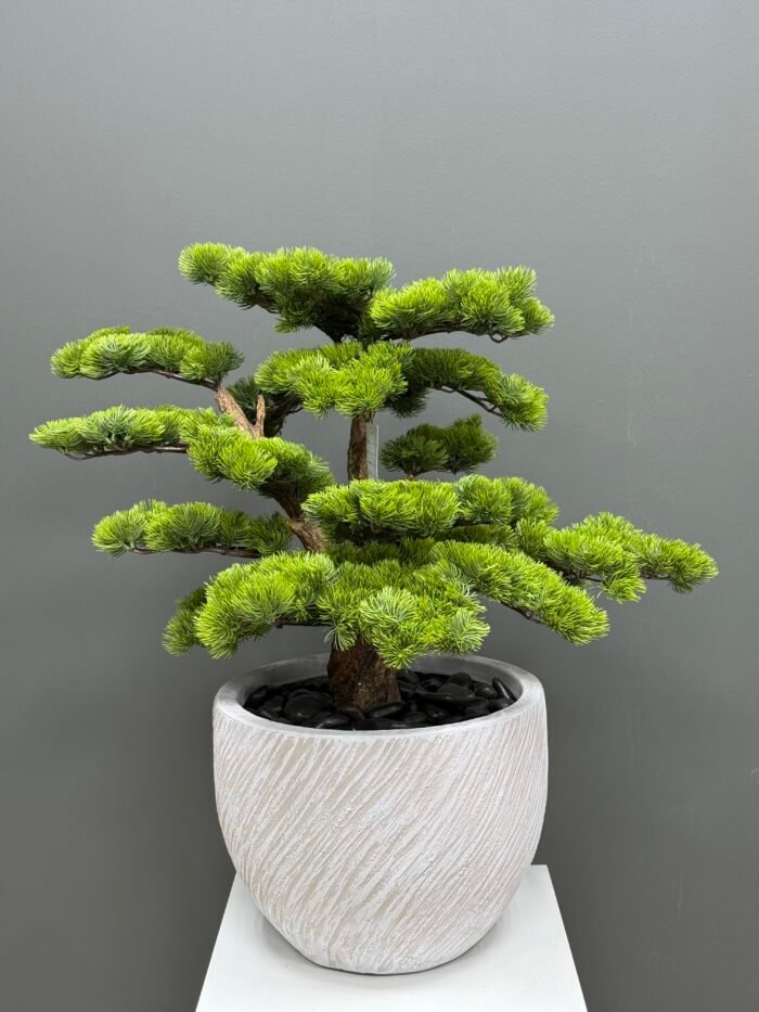 Artificial Bonsai Tree 60cm – Faux Pine with Textured Pot – 9844