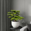 9844 Small Artificial Bonsai 60cm | Tabletop Faux Pine Tree