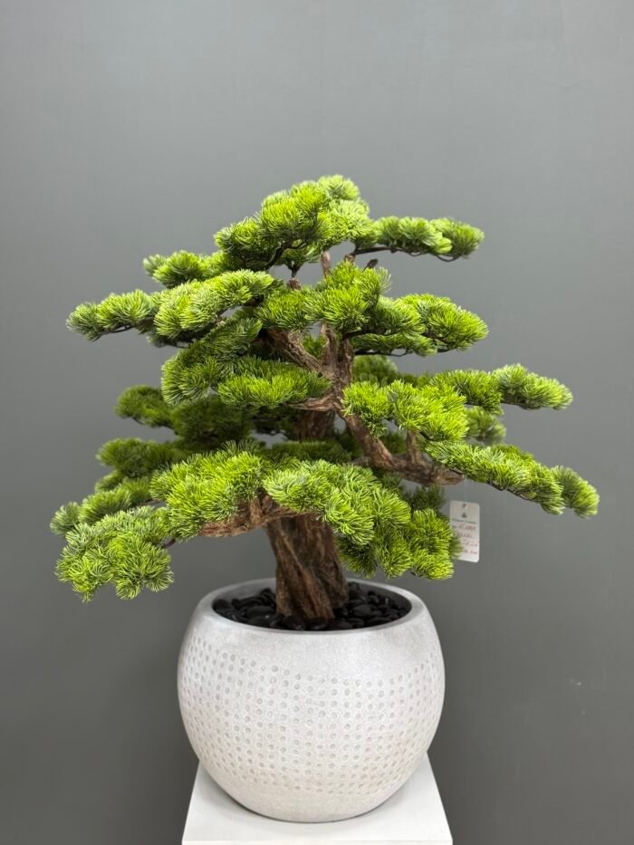 Artificial Bonsai Tree 85cm – Faux Pine with Dotted Pot – 9855