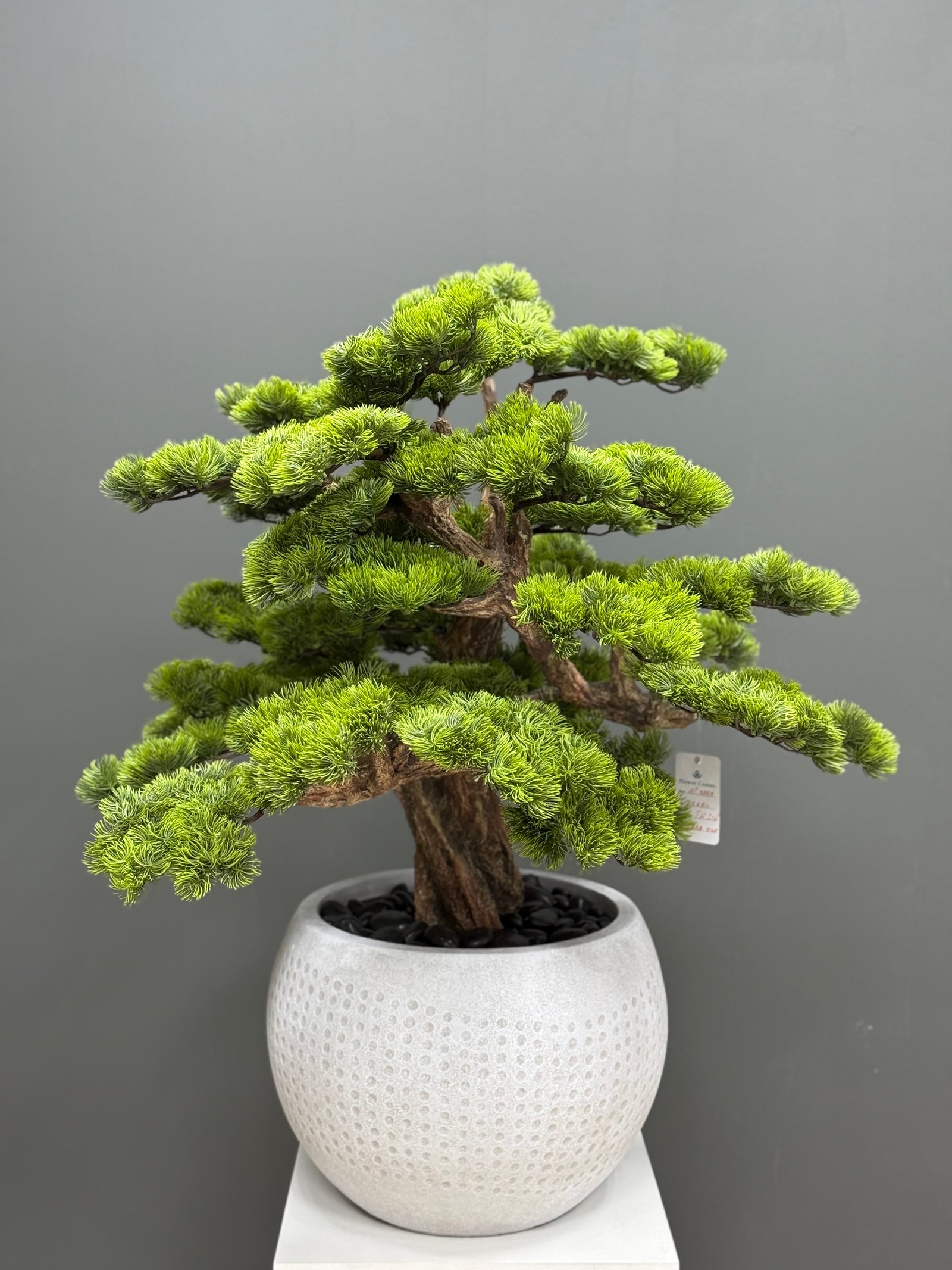 Artificial Pine Bonsai 85cm | White Textured Pot Tree