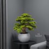 9855 Artificial Pine Bonsai 85cm | White Textured Pot Tree